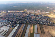 Aerial view of Town View of the streets and houses of the residential areas in Dudenhofen in the state Rhineland-Palatinate