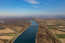 Riparian zones on the course of the river of Rhine with motorway bridge of the A61 in Speyer in the state Rhineland-Palatinate, Germany