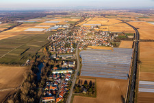 Aerial view of Agricultural land and field boundaries surround the settlement area of the village in Weingarten (Pfalz) in the state Rhineland-Palatinate, Germany