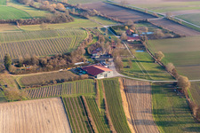 Aerial photograpy of RANCH in Herxheim bei Landau in the state Rhineland-Palatinate, Germany