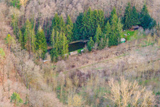 Fish pond at Horbach in the forest in Barbelroth in the state Rhineland-Palatinate, Germany