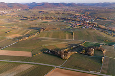 District Klingen in Heuchelheim-Klingen in the state Rhineland-Palatinate, Germany viewn from the air