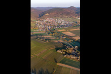 Klingbachtal in spring bloom in Klingenmünster in the state Rhineland-Palatinate, Germany