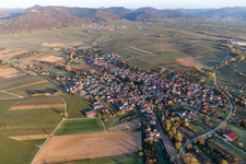 Spring around the settlement area of the village in Goecklingen in the state Rhineland-Palatinate, Germany