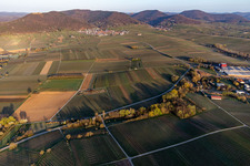 Aalmühl Valley before Eschbach on the edge of the Haardt in Göcklingen in the state Rhineland-Palatinate, Germany