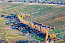 Hirtenbrunnerhof on the Aalmühl in Ilbesheim bei Landau in the state Rhineland-Palatinate, Germany