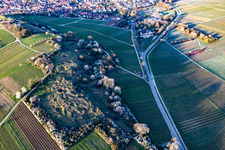 Aerial view of Kleine Kalmit nature reserve on Easter morning with spring blossom in the district Arzheim in Landau in der Pfalz in the state Rhineland-Palatinate, Germany