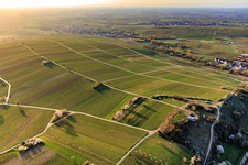 Chapel "Kleine Kalmit" in the nature reserve Kleine Kalmit on Easter morning with spring blossom in Ilbesheim bei Landau in the state Rhineland-Palatinate, Germany from the plane