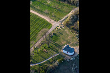 Bird's eye view of Chapel "Kleine Kalmit" in the nature reserve Kleine Kalmit on Easter morning with spring blossom in Ilbesheim bei Landau in the state Rhineland-Palatinate, Germany
