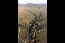 Fields of wine cultivation landscape in the spring before the Trifels in Ranschbach in the state Rhineland-Palatinate