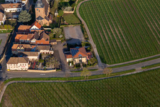 The wine house Vinothek Meßmer, Ritterhof zur Rose in Burrweiler in the state Rhineland-Palatinate, Germany