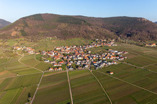 Village on the edge of vineyards and wineries in the wine-growing area in Weyher in der Pfalz in the state Rhineland-Palatinate, Germany