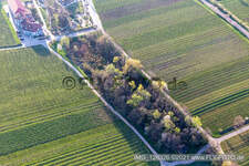 Triefenbach Valley in Edenkoben in the state Rhineland-Palatinate, Germany