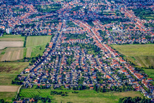 In the quail loft in Haßloch in the state Rhineland-Palatinate, Germany