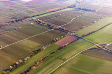 Aerial view of Riedgraben with spring flowers in Essingen in the state Rhineland-Palatinate, Germany
