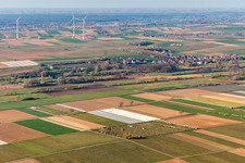 Eier-Meyer fruit plantation in the district Mühlhofen in Billigheim-Ingenheim in the state Rhineland-Palatinate, Germany