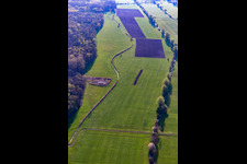 Meadows between Erlenbach and Flutgraben in Steinweiler in the state Rhineland-Palatinate, Germany