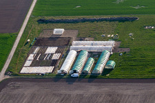 Steinweiler in the state Rhineland-Palatinate, Germany viewn from the air