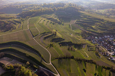 Vineyards in the district Hecklingen in Kenzingen in the state Baden-Wuerttemberg, Germany