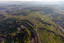 Aerial view of Vineyards in the district Hecklingen in Kenzingen in the state Baden-Wuerttemberg, Germany
