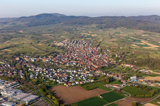Aerial view of Fields of wine cultivation landscape in Bahlingen im Kaiserstuhl in the state Baden-Wurttemberg, Germany