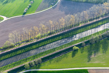 Dreisam in the district Buchheim in March in the state Baden-Wuerttemberg, Germany