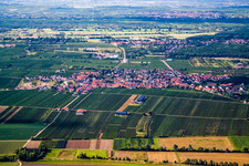 View of the town from the south in Gönnheim in the state Rhineland-Palatinate, Germany