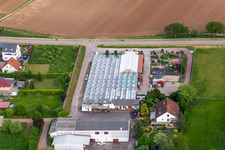 Weiherhof-Palatinate in Weingarten in the state Rhineland-Palatinate, Germany