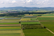 Eier-Meier Fruit Plantation in the district Mühlhofen in Billigheim-Ingenheim in the state Rhineland-Palatinate, Germany