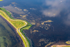 Aerial view of Water surface at the seaside in the Flensburger Foerde in Holnis in the state Schleswig-Holstein, Germany