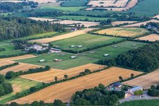 Mobile chicken coops on farm Dollerupholz - Lütte Hehn egg stand in the district Dollerupholz in Westerholz in the state Schleswig Holstein, Germany