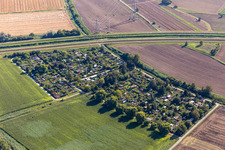 Allotment garden Leopoldshafen in the district Leopoldshafen in Eggenstein-Leopoldshafen in the state Baden-Wuerttemberg, Germany