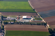 Kugelmann Organic Farmer in Kandel in the state Rhineland-Palatinate, Germany