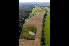 Biotope between Flutgraben and Erlenbach in Steinweiler in the state Rhineland-Palatinate, Germany