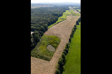 Aerial view of Biotope between Flutgraben and Erlenbach in Steinweiler in the state Rhineland-Palatinate, Germany