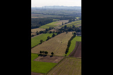Flood ditch, Erlenbach. Buschurgraben in Steinweiler in the state Rhineland-Palatinate, Germany