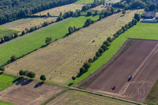 Aerial view of Flood ditch, Erlenbach. Buschurgraben in Steinweiler in the state Rhineland-Palatinate, Germany