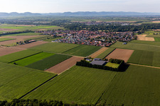 Steinweiler in the state Rhineland-Palatinate, Germany from a drone