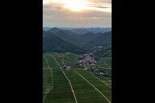 Aerial photograpy of Fields of wine cultivation landscape in Leinsweiler in the state Rhineland-Palatinate, Germany