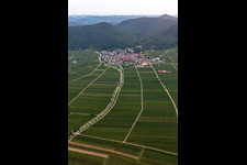 Fields of wine cultivation landscape in Eschbach in the state Rhineland-Palatinate, Germany