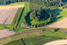 Forest Island in the district Heudorf in Scheer in the state Baden-Wuerttemberg, Germany