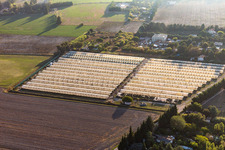 Aerial view of Tarascon in the state Bouches du Rhone, France