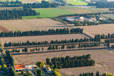 Row of trees to protect the fields from the mistral in Saint-Etienne-du-Gres in Provence-Alpes-Cote d'Azur, France