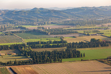 Wind-protected fields in Tarascon in the state Bouches du Rhone, France