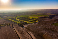 Row of trees to protect the fields from the mistral in Saint-Etienne-du-Gres in Provence-Alpes-Cote d'Azur, France