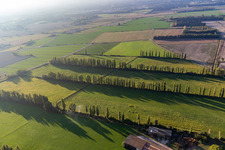 Wind-protected fields in Maillane in the state Bouches du Rhone, France