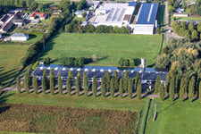 Aerial view of Cactus Printing & Publishing GmbH in the district Schaidt in Wörth am Rhein in the state Rhineland-Palatinate, Germany