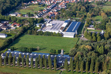 Aerial photograpy of Cactus Printing & Publishing GmbH in the district Schaidt in Wörth am Rhein in the state Rhineland-Palatinate, Germany
