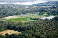 Drone image of De Hamert in the state Limburg, Netherlands