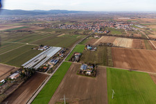 Speierlinghof in Meckenheim in the state Rhineland-Palatinate, Germany